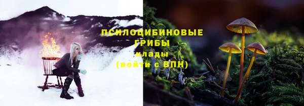амфетамин Лабытнанги