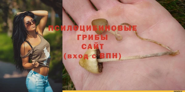 амфетамин Лабытнанги
