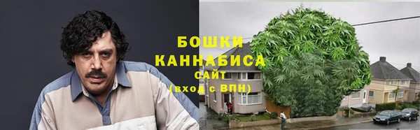 амф Ладушкин