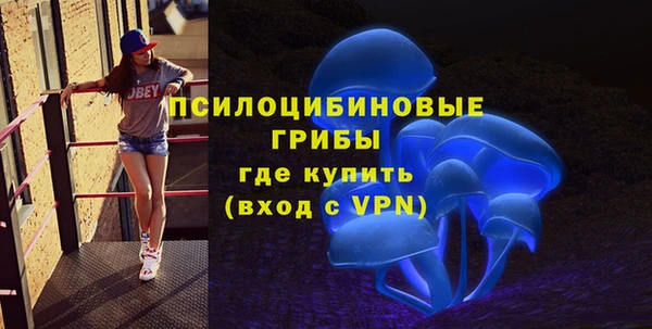 амфетамин Лабытнанги