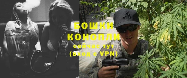 амф Ладушкин