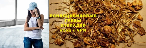 амф Ладушкин