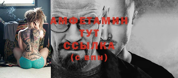 амф Ладушкин