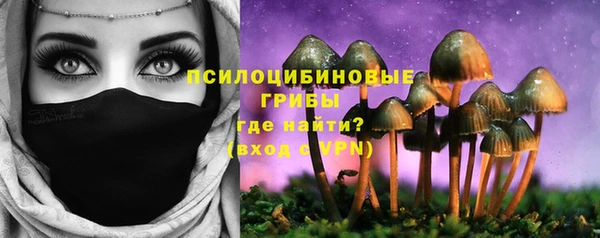 амф Ладушкин